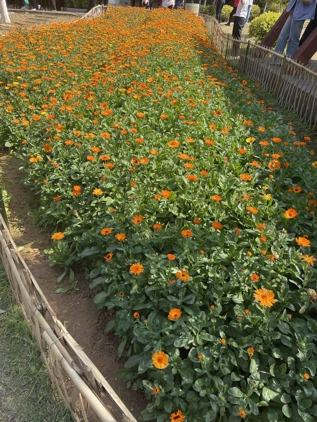 大家有没发现，广东的天气这两年特别奇怪！以往这个时候已经进入广东的回南天了，家