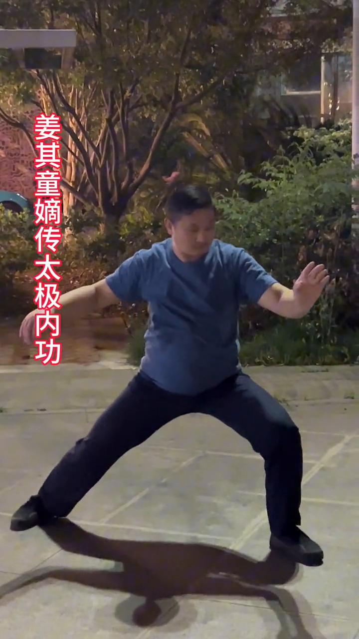 太极门真正的功夫，内丹行功，会者凤毛麟角。姜其童嫡传太极内功。