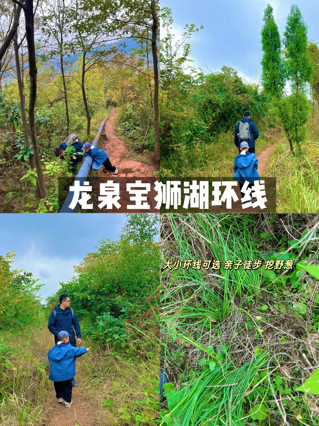 成都小众‼️超适合亲子徒步龙泉山宝狮湖环线