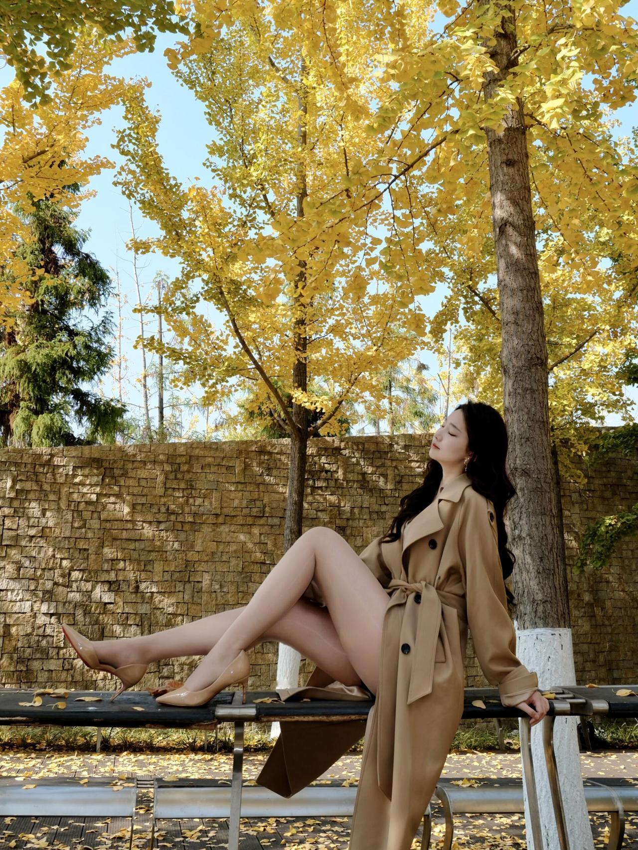 碧云天，黄叶地，秋色连波。风衣掠过金黄的银杏林，落叶轻吻脚踝，每一步都踩