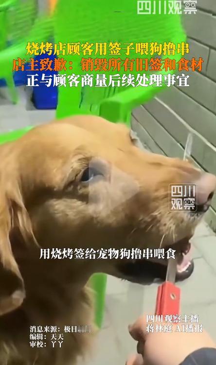 五一假期期间，内蒙古赤峰一家普通的烧烤店，因为一件和宠物相关的小事，成了全国网友
