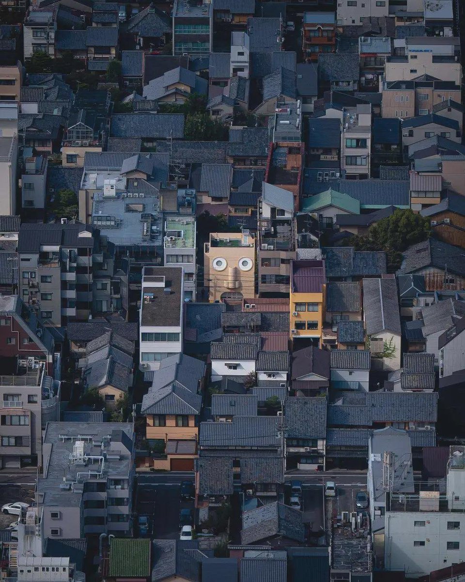 看，它在看着你日本京都建筑​​​