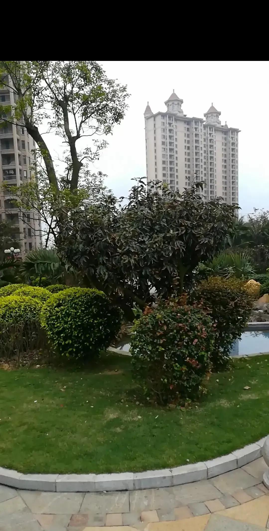 在当前的社会变革中，婚恋市场呈现出新趋势。疫情后，一线城市闪婚比例明显上升，甚