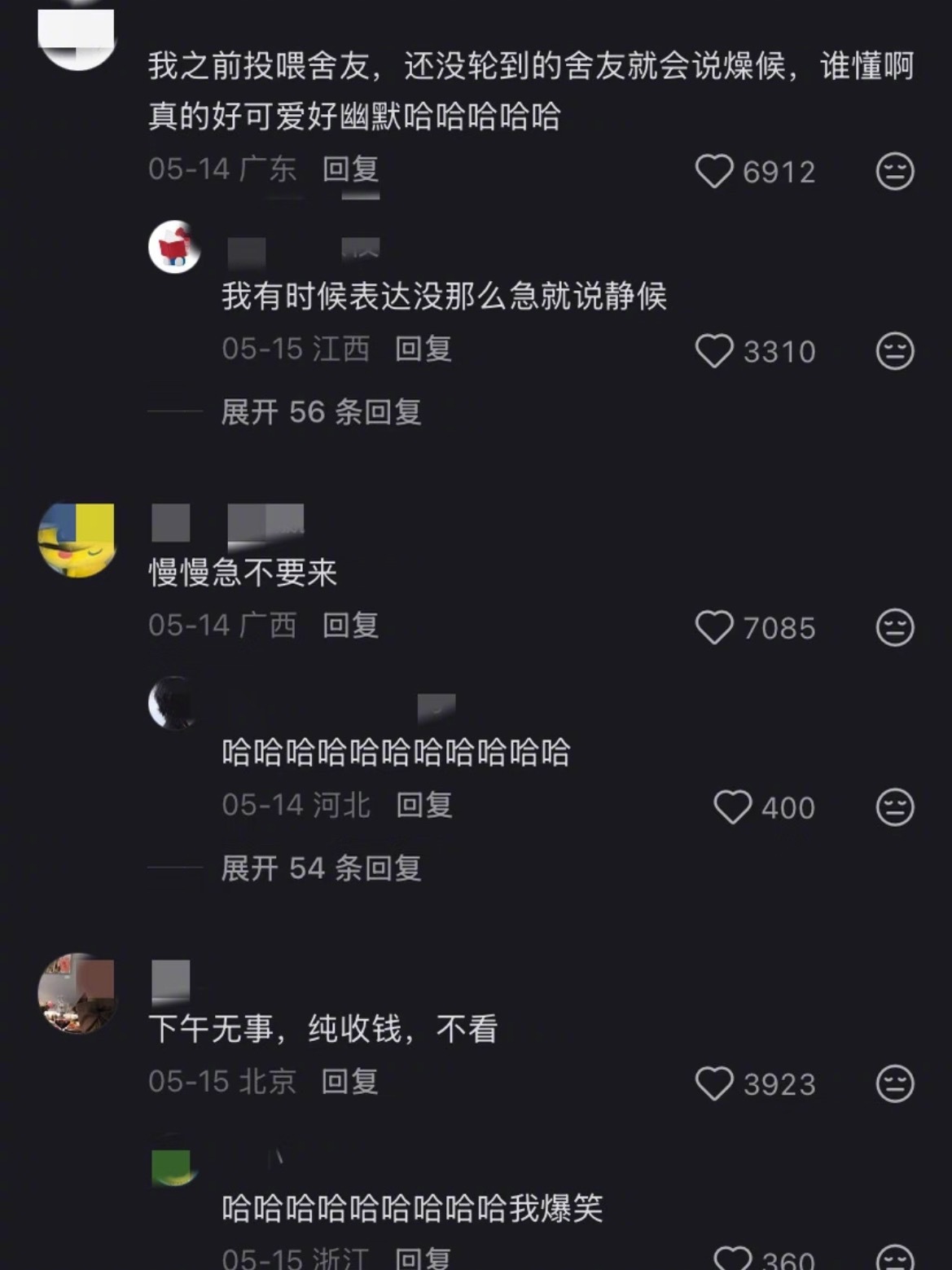 这届网友还是太有梗了哈哈哈哈