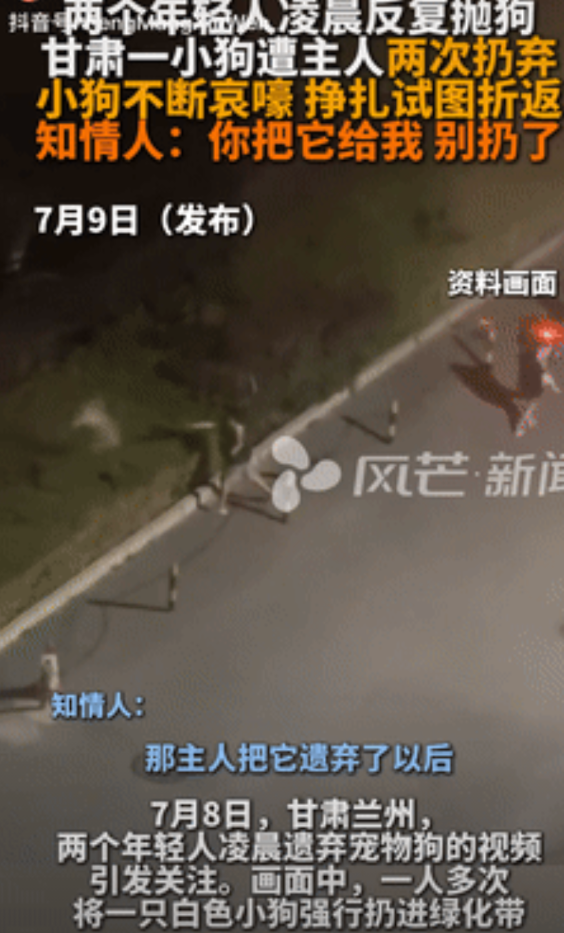 “缺大德了！”甘肃兰州，一男子凌晨将宠物狗强行扔进绿化带，小狗发出哀嚎，并挣扎跑