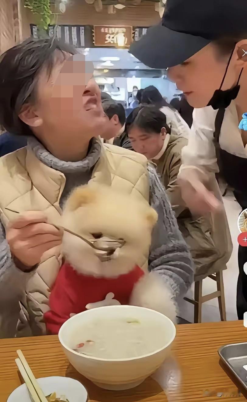 喂狗用公用餐具，有点公德心好吧？在公共餐饮场合，辣眼睛的一幕出现了，一位穿马