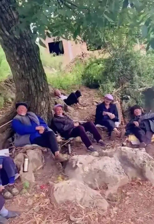 我老了，不去养老院，就这样！