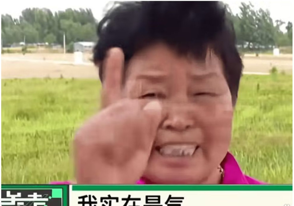 网购38床被子全“仅退款”不退货，商家飞3000公里找到买家：3个网店1380单
