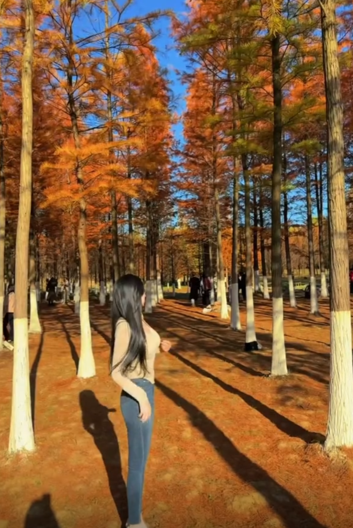 出来旅游了风景真的太好看了吧