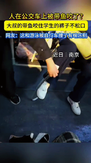 南京公交上的这幕离谱名场面，直接笑翻全车人！一位大叔拎着刚买的带鱼挤公...
