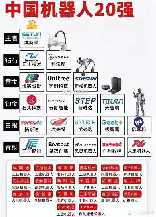 中国机器人20强♥♥王者是埃斯顿，砖石是汇川技术、科沃斯。王者是博实股份、宇树科