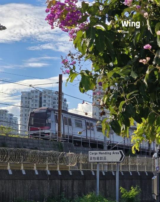 港鐵•港島綫｜【東端】露天路段港鐵港島綫，絶大部分路段為地底路段。只有東端的