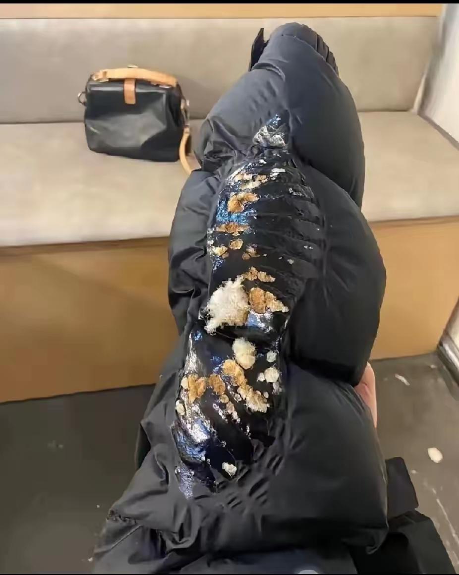 我的老天鹅啊！谁来救救我！花了一千多块买的羽绒服，烤个火就变成这样了，我该