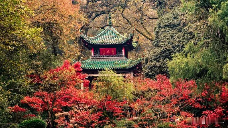 不管和谁相处，都要牢记这些忠告：​1不要经常蹭同事的车，真的会让人反感。2男