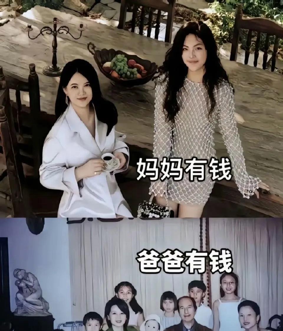 从“王诗龄”到“陆依萍”：撕开“钱权滤镜”下的女性成长镜像最近网络上流传着一句