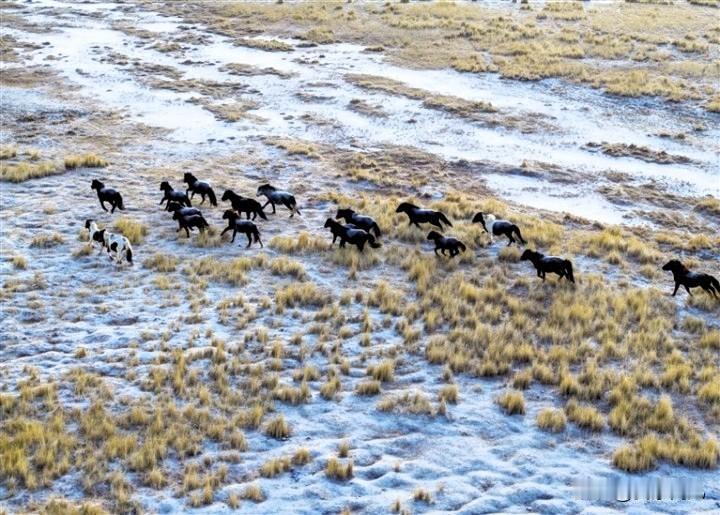 “十四五”期间，甘肃省酒泉市按照“南护水源、中兴绿洲、北拒风沙”总体思路，统筹推
