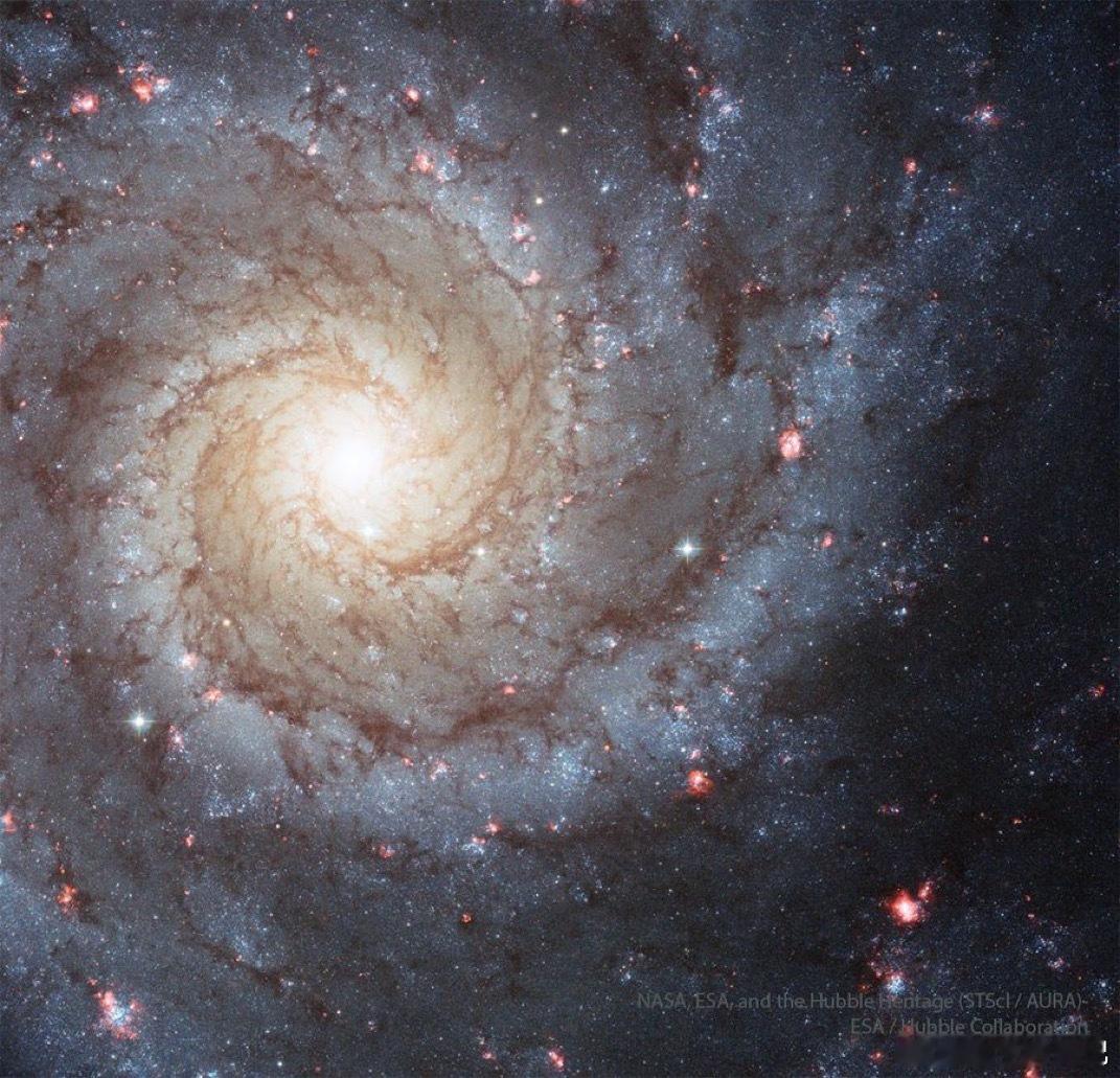 M74：大设计螺旋星系，这是一座面朝我们的螺旋星系，位于32百万光年外的双鱼座，