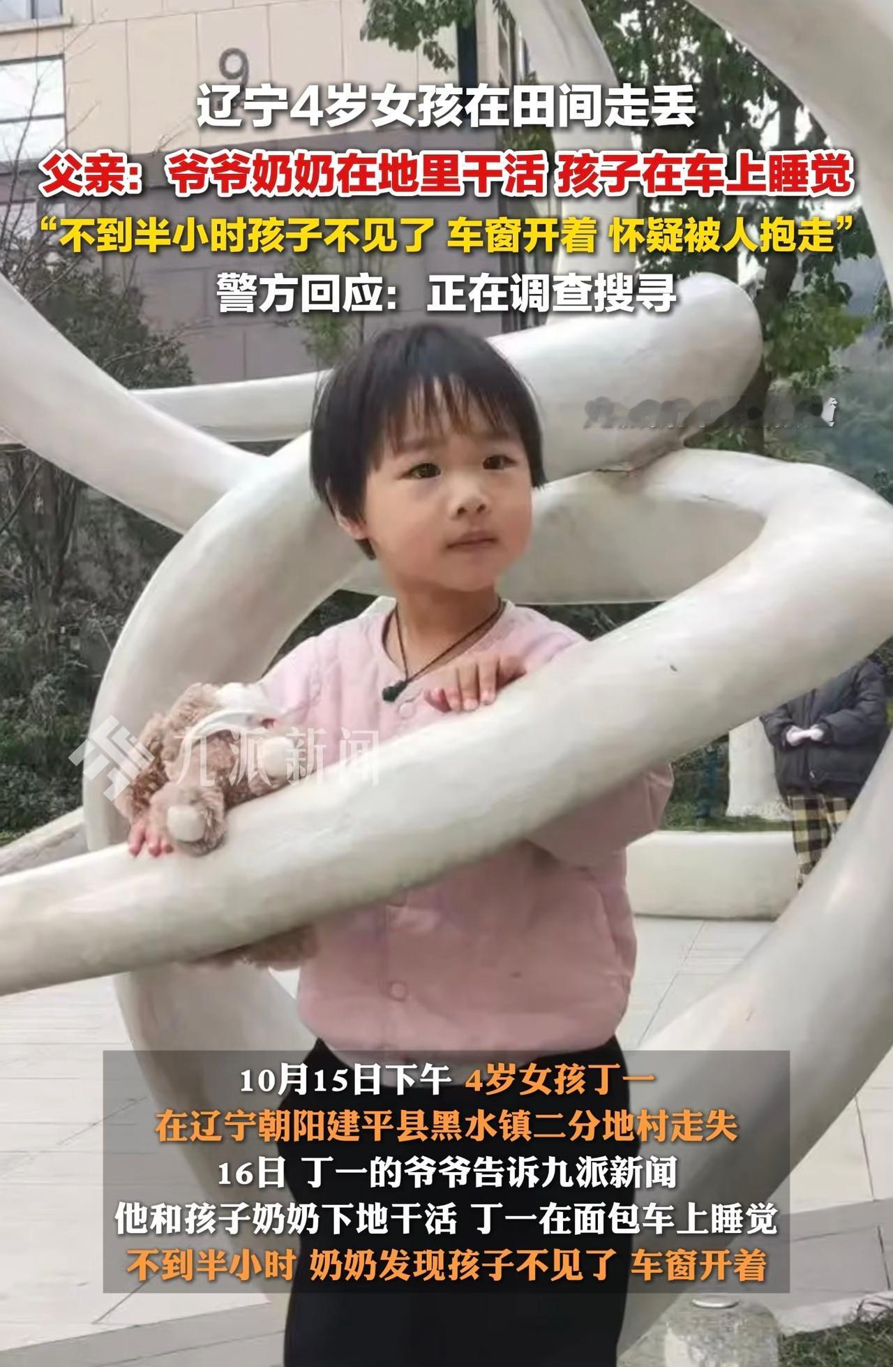 4岁女童失踪最新进展，已经一天一夜还没找到。睡在面包车里离奇失踪，搜救犬站在原地