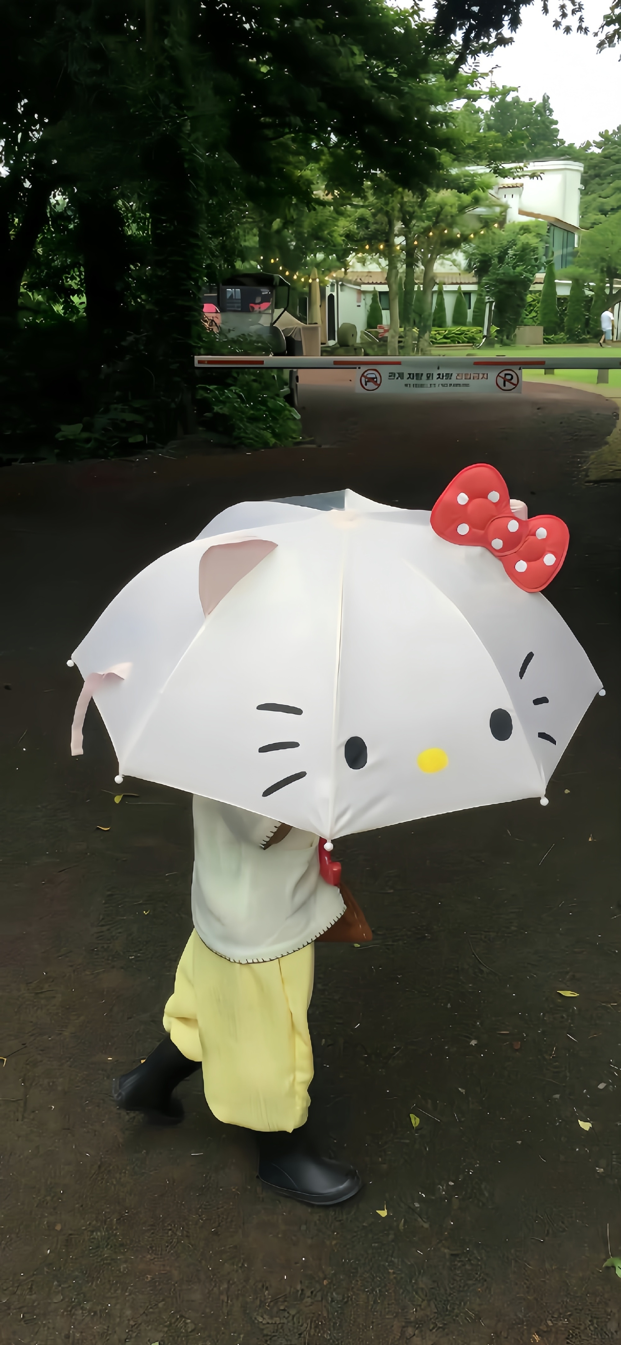 HelloKitty壁纸｜少女心壁纸｜INS风壁纸｜静物壁纸｜审美积累​​