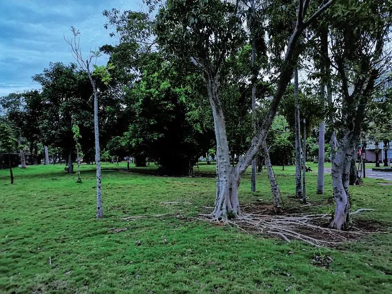 今晚去三会里公园跑步，夜风一吹，那叫一个舒服！3公里的慢跑，看似不长，却有着大大