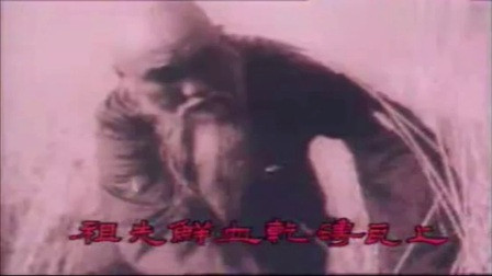 大号是中华 电视连续剧《陈真》主题歌(演唱:徐