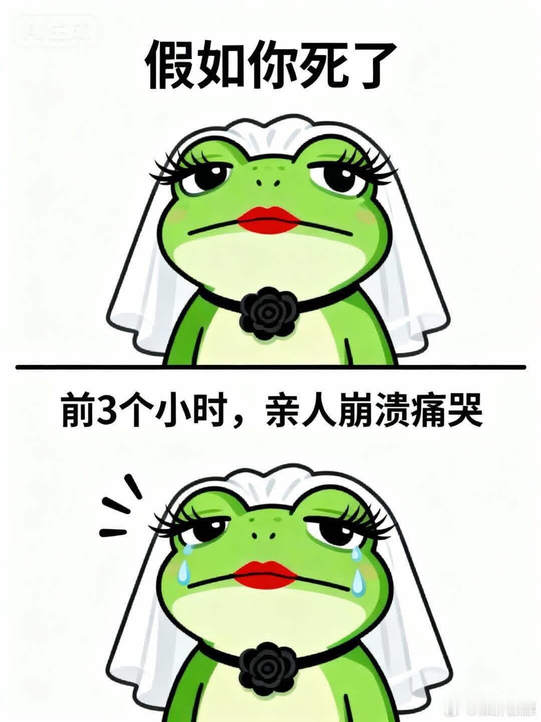 看完这段话我突然就想开了……