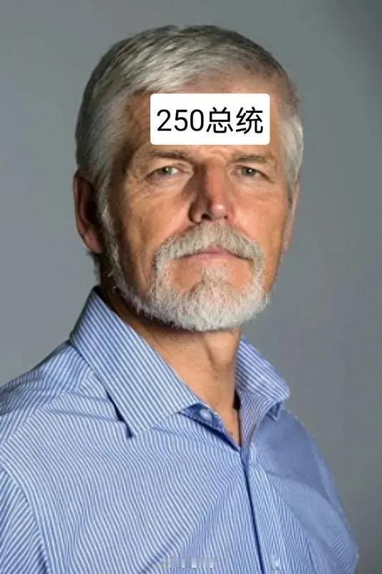 这一波收拾捷克，捷克的经济肯定会大受冲击。捷克跟中国的贸易大约400亿美元，