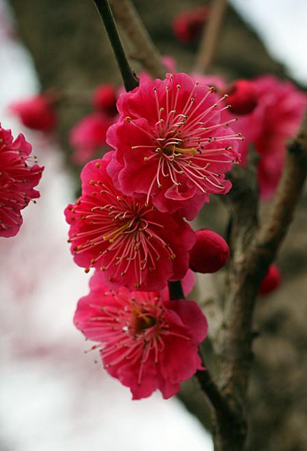 周四盘后突传重磅消息，周五能否实现向上突破？周四盘后重磅消息如下：一、据央行