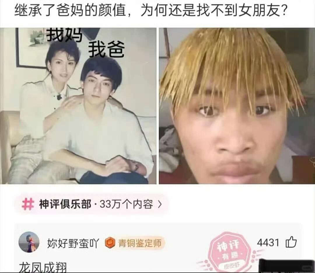 迟早要笑死在这些评论区神评论