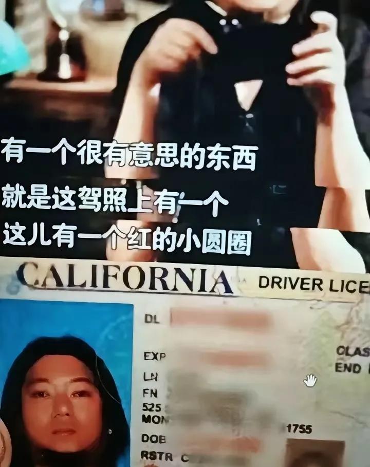 高晓松再次引起热议！他曾在当年一档节目中，推荐留学生办理美国驾照时，同意勾选Do