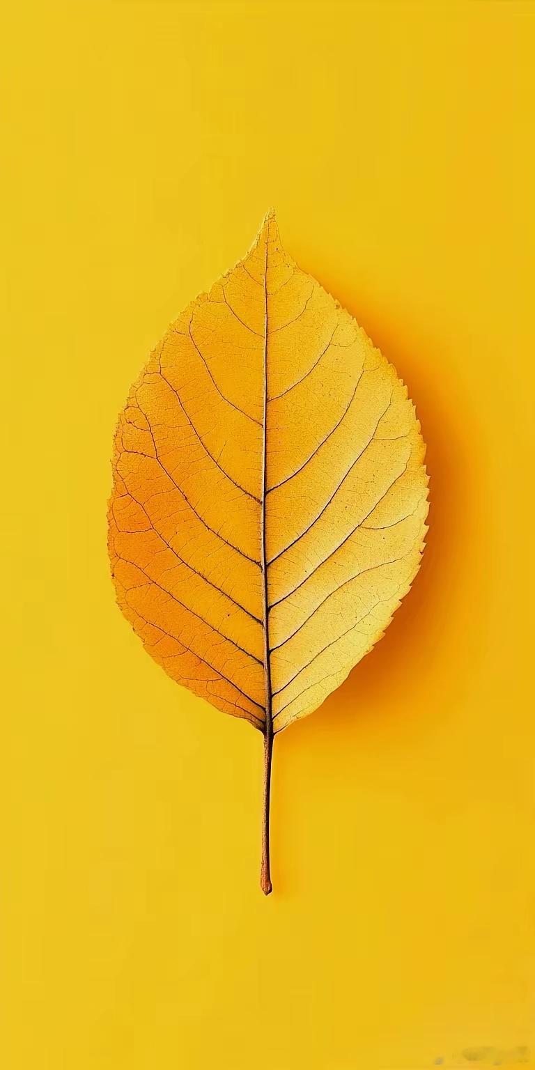 艾绒温灸，气通血活，中风回春有奇功“凡治中风，莫如续命之类。然此可扶持初病，若要