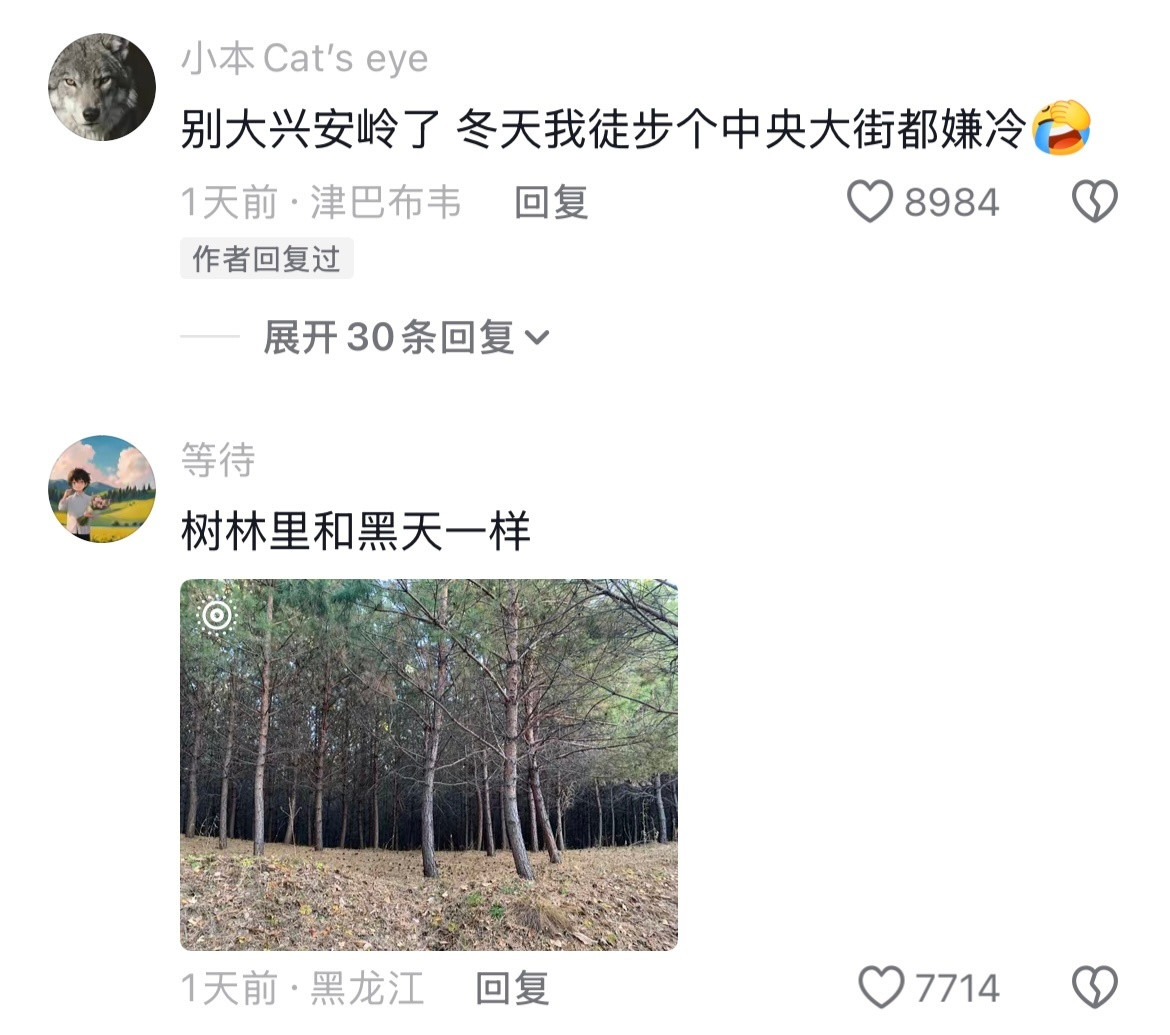 终于知道为什么没人挑战徒步大小兴安岭了......
