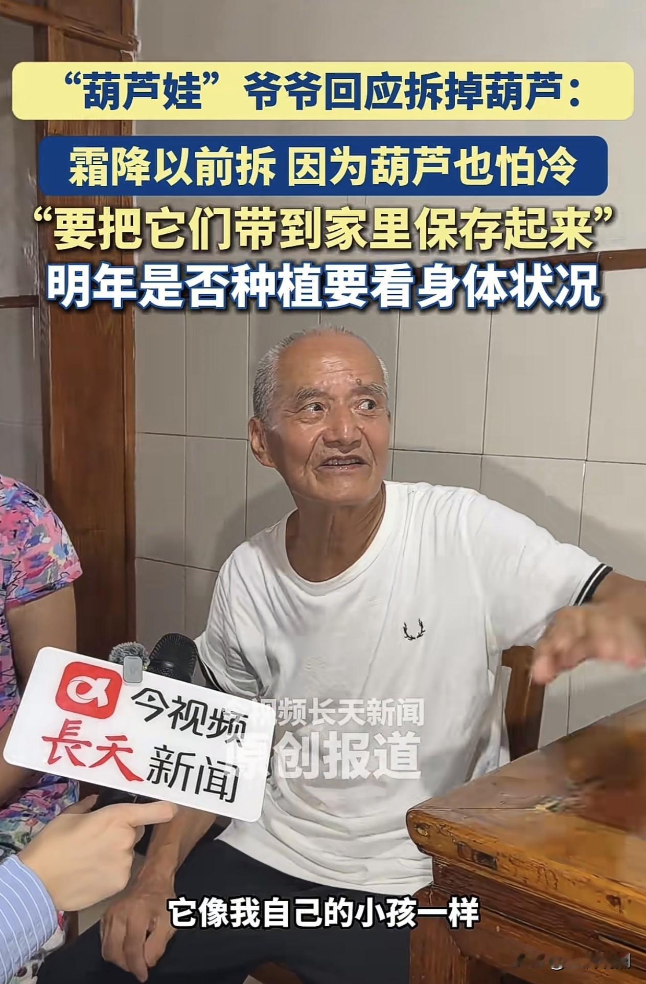 爷爷把7个葫芦摘了，这下子该消停了吧？7个普普通通的葫芦为什么会忽然就成为了