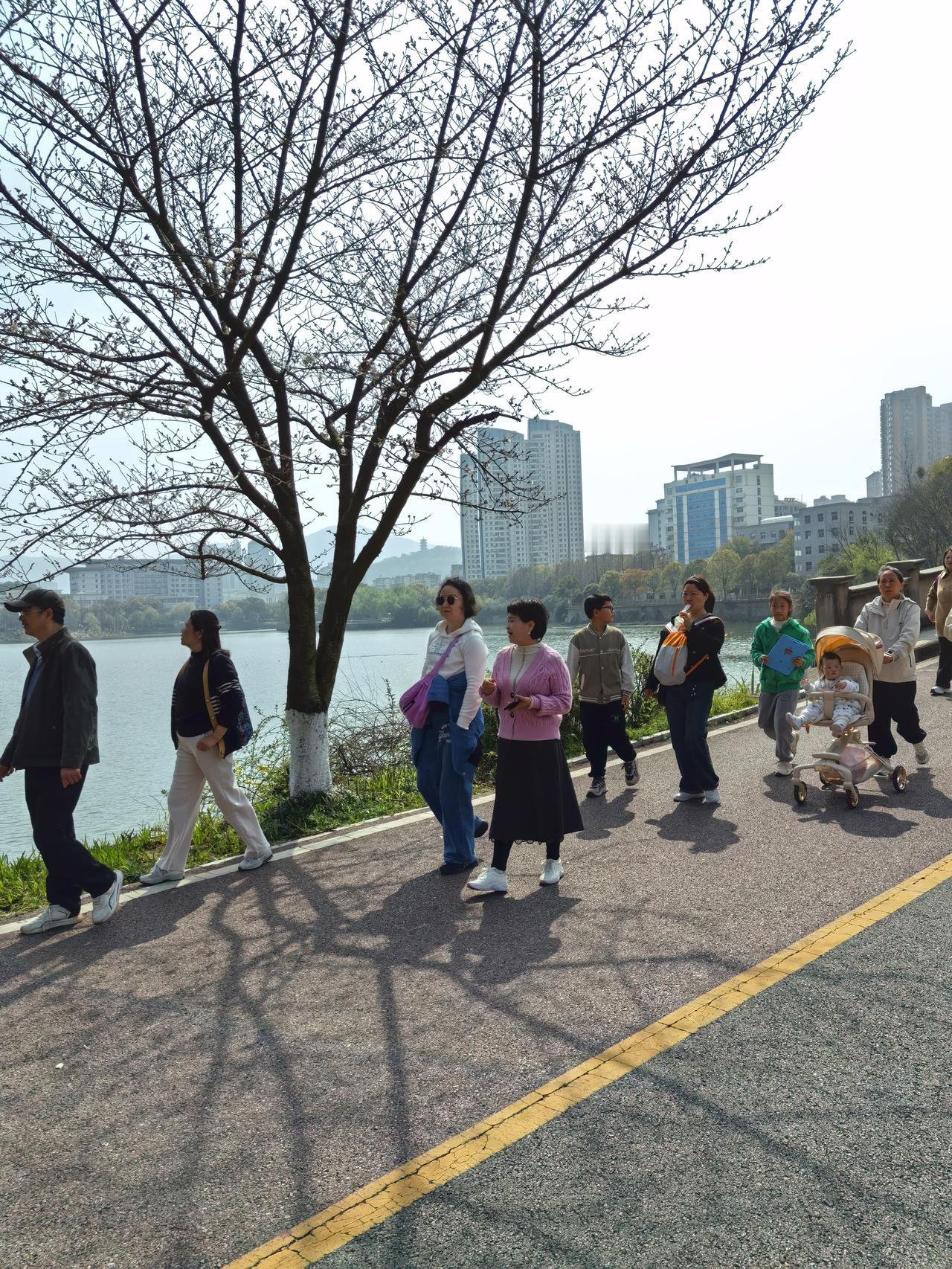 农村老人养老真是个让人头疼的问题。很多农村老人没什么积蓄，养老金又少得可怜，一个