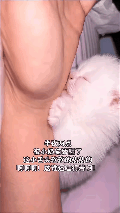 半夜睡得正香，手上突然一阵热乎乎软乎乎的，我直接吓醒坐起来，差点喊出声！仔