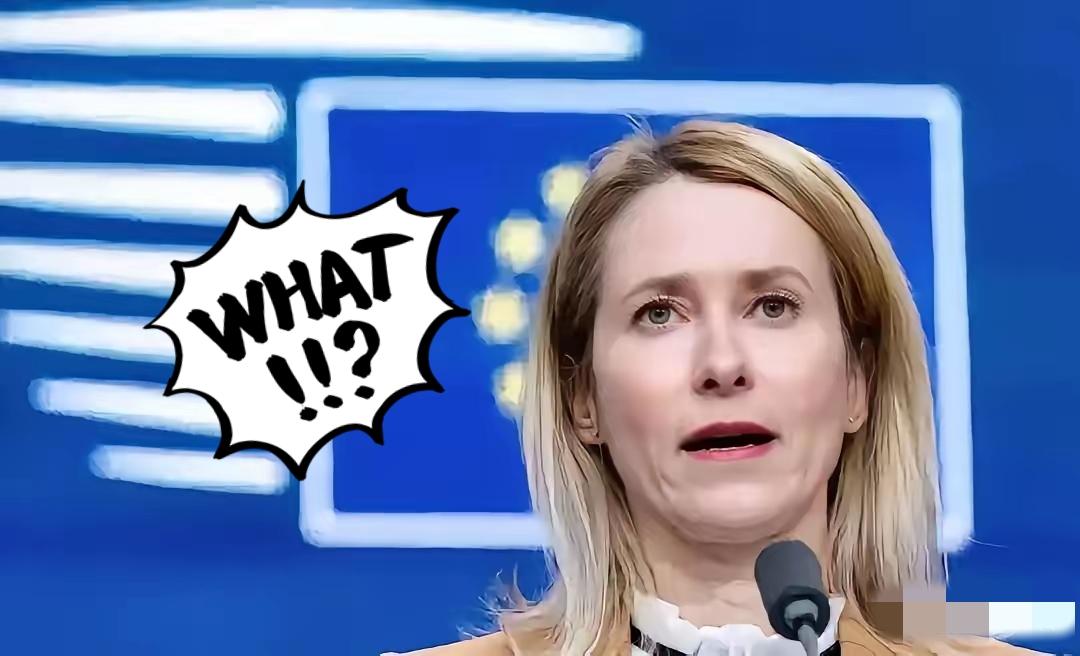 欧洲对华强硬派、欧盟外长卡拉斯再次一语惊人。她在召开欧盟各国外长会之后表示：“目