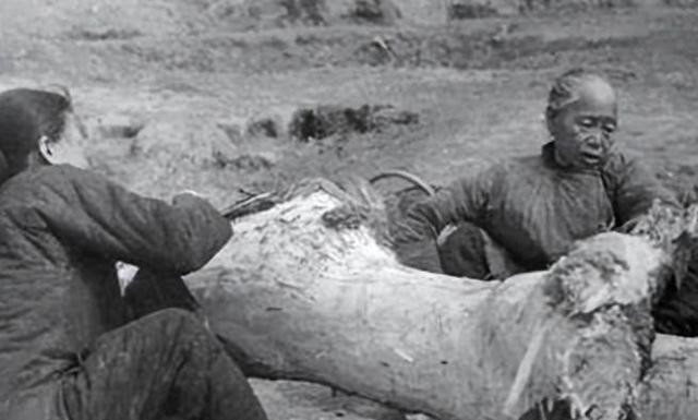 1962年，陈云提议分田到户遭毛主席批评，如今才发现伟人用心良苦！陈云出生