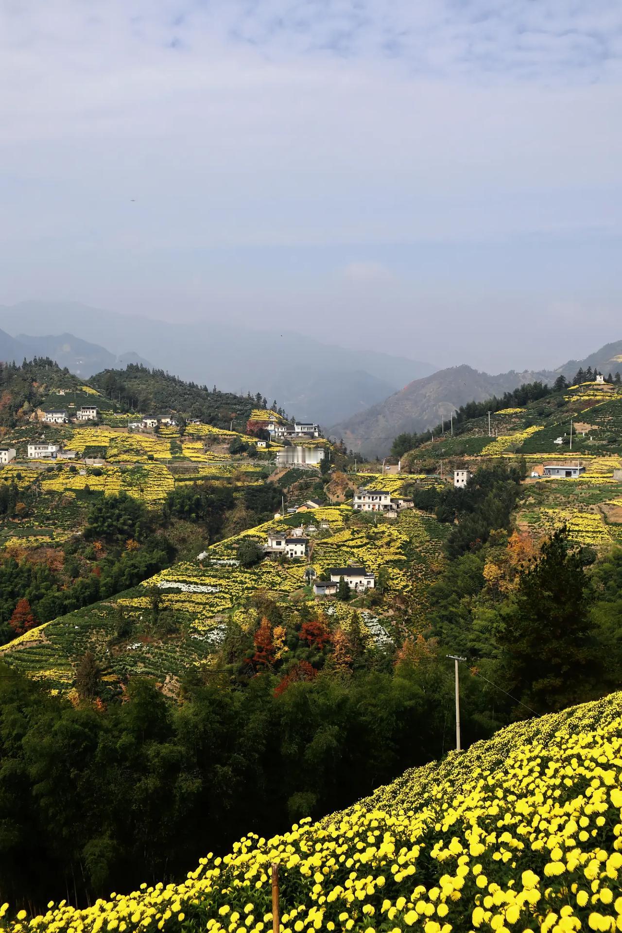昨天接待了一个高三的学生，重点高中的孩子，前面刚刚举行了模拟考试，孩子的物理就考