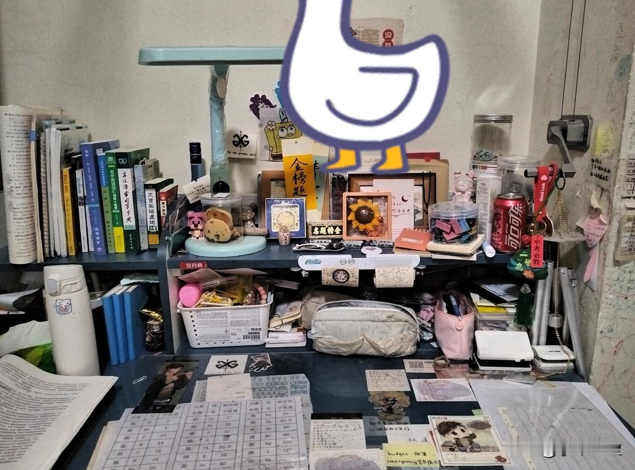 高一生，昨天放假了。下午五点回到家吃完饭就开始整理试卷，学案，笔记，课本辅导书，
