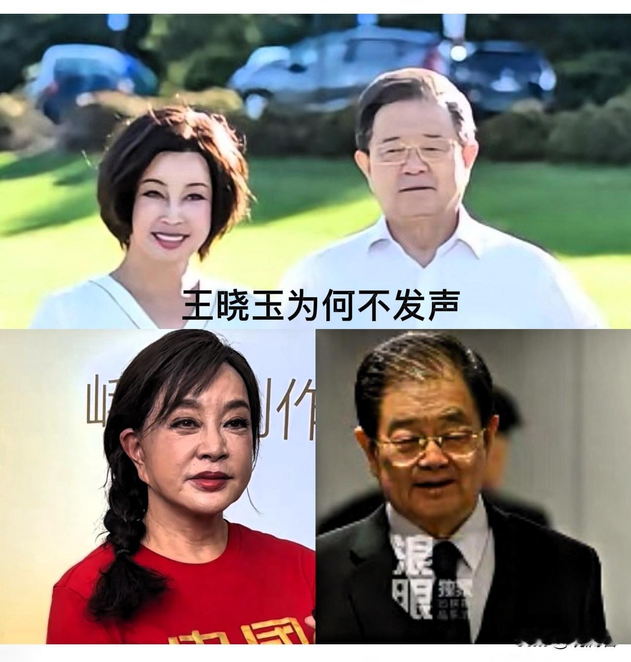 王晓玉为何不发声？看到刘晓庆和王晓玉的照片，感到刘晓庆真是一手好牌打个稀烂。刘