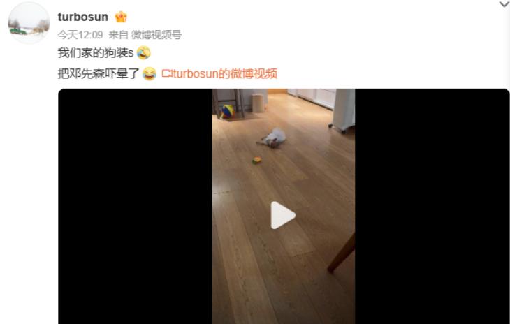 5月3日下午，孙俪在社交平台发文：“我们家的狗装s，把邓先森吓晕了。”表面上