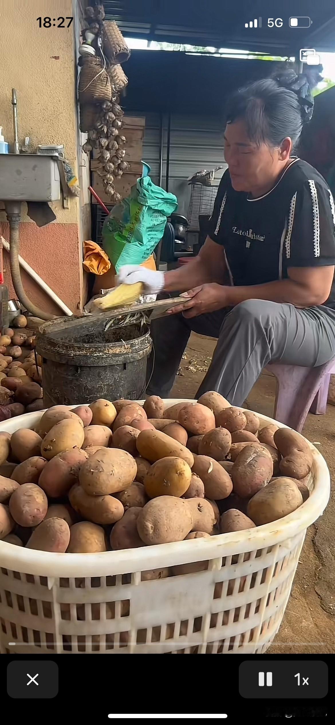 全红婵妈妈现在太奢侈了,拿着马铃薯喂鸡鸭,难怪这个白切鸡那么好吃,有钱人就是这样