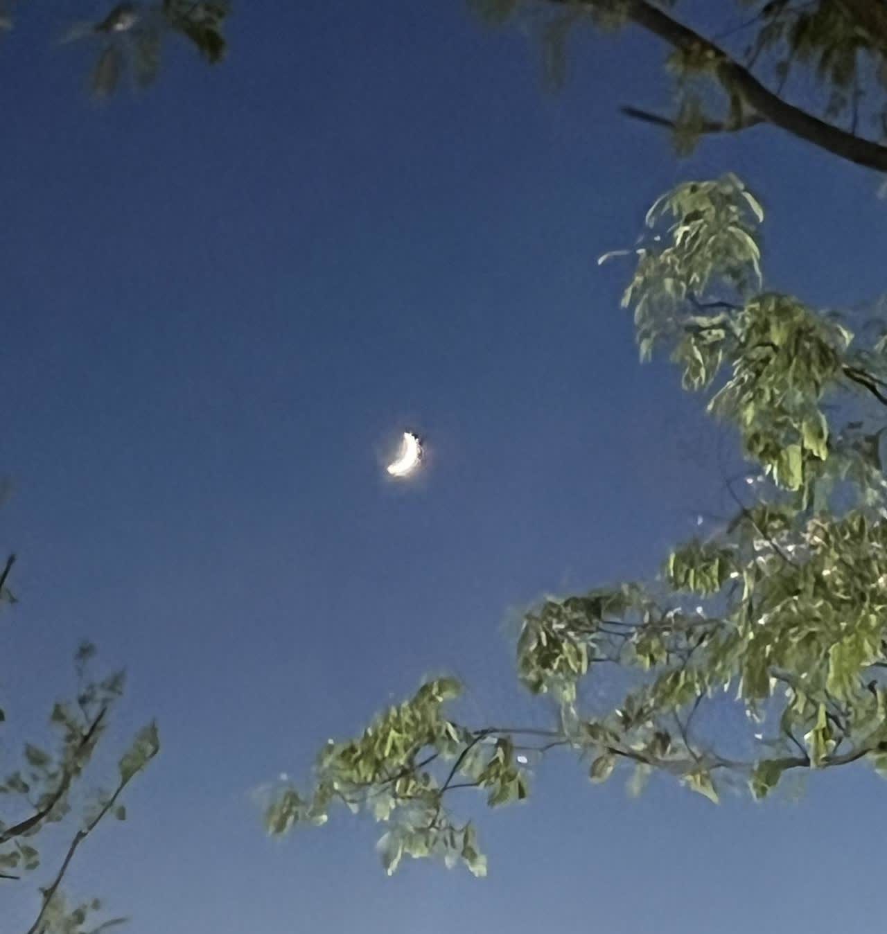 江西一男子算是霉透了，被狗咬了几口，最后还被狗主人用刀刺穿大腿，结局暂还没出来。