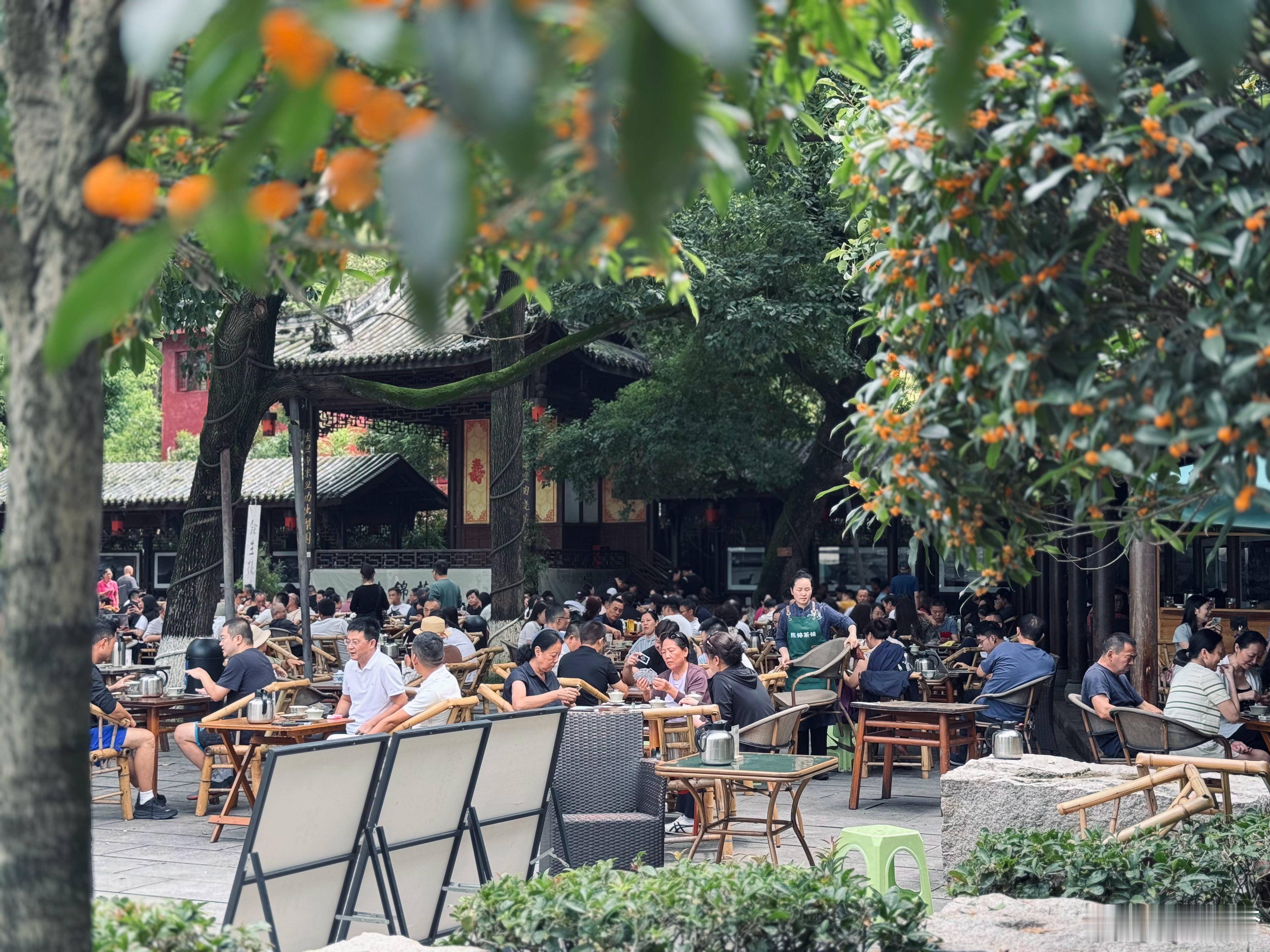 今天落地成都先去喝茶，嗑瓜子唠嗑一下午掏个耳朵，晚上再来顿火锅小啤酒要不怎么说少