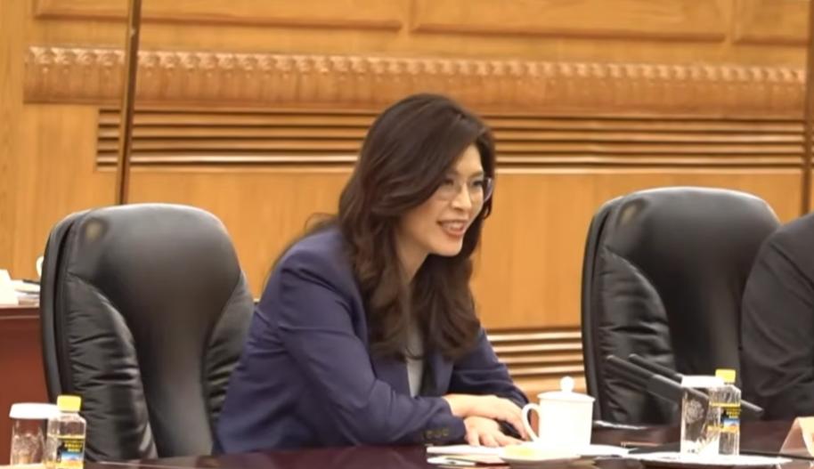 郑丽文说：“共建中华民族现代文明”。介文汲老师对这一次郑丽文在人民大会堂的讲