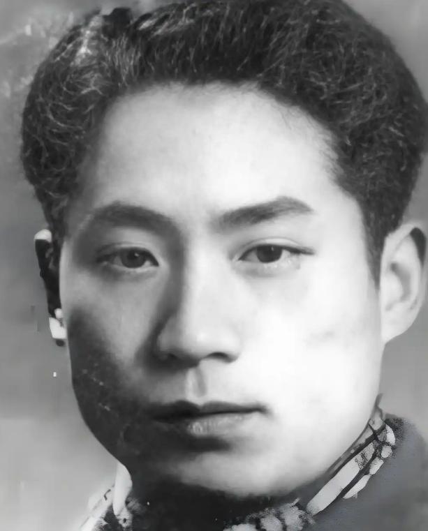 1948年，地下党员李维嘉正往住处走，浑然不知特务已在阁楼上设伏等候。就在这时，
