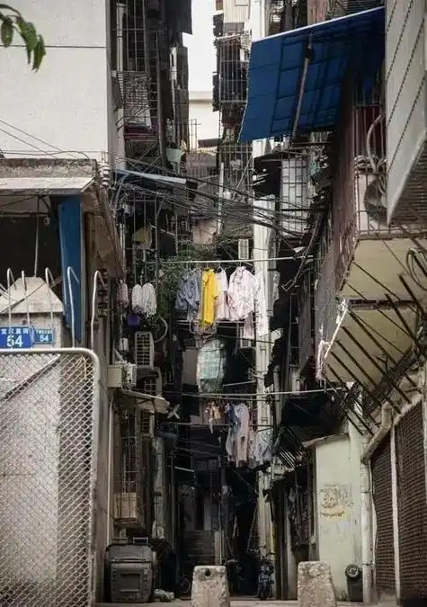 “收废品一次一千多，可挣钱了”，她对邻居这样说。苏先生的妻子回忆，梅姨曾经亲口说自己在增城收废品很挣