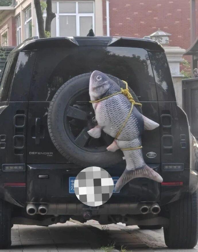 害，还以为你钓的呢​​​