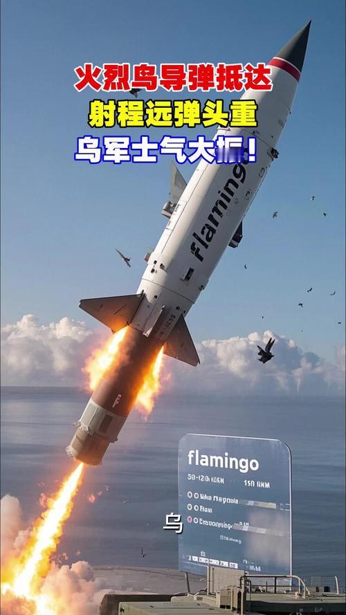 11月13日夜间到14日凌晨，乌克兰向俄方发射了4枚火烈鸟导弹。这是自俄乌战争以