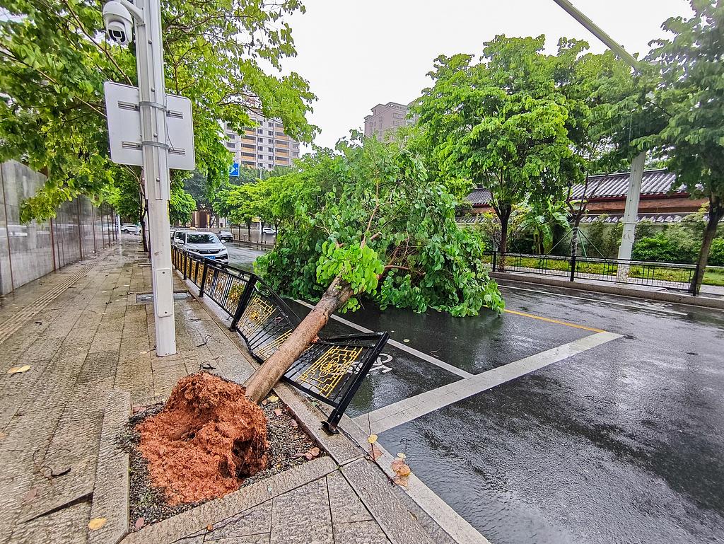 台风“沙德尔”完成第三次登陆闽粤多地遭遇强风雨侵袭新华社福州9月3日电今年第18号台风“沙德尔”，于